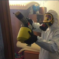 Уничтожение клопов в квартире. Волоколамск